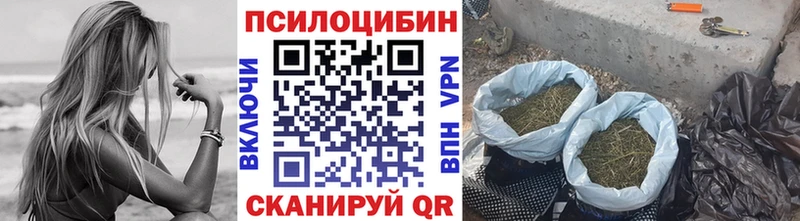 наркота  Вологда  Галлюциногенные грибы ЛСД 